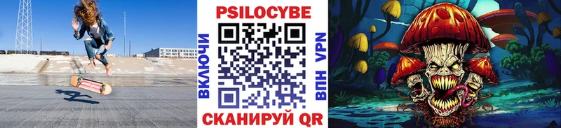Псилоцибиновые грибы Cubensis  закладки  Лабинск 