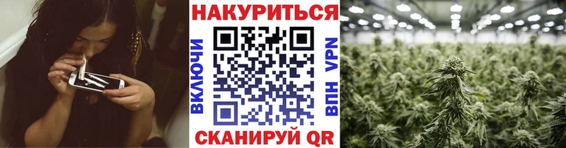 Бошки марихуана MAZAR  Лабинск 